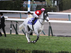 20151227 中山10R 有馬記念(G1) ゴールドシップ 16