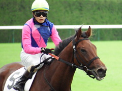 20171014 京都3R 2歳未勝利 メイショウカラタチ 15
