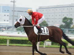 20180523 大井3R 3歳(195万下) イナムラ 15