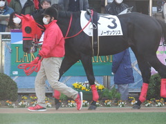 20180303 中山2R 3歳未勝利 ノーザンクリス 05