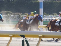 20170219 東京1R 3歳未勝利 ハッピーサンディー 18