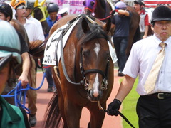 20130818 リバーオリエンタル2