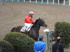 20170315 船橋1R 3歳 エッジ 16