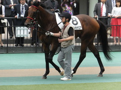 20160528 東京8R 4歳上500万下 トーセンカナロア 05