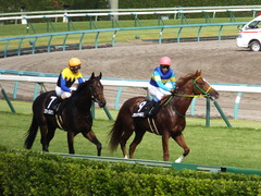 20150927 中山9R 芙蓉ステークス プランスシャルマン 21