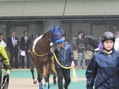 20170513 東京5R 3歳未勝利 トッテモイイコ 03