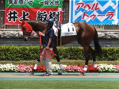 20140531 東京4R コスモベツァーリ 03