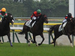 20170507 東京8R 4歳上(1000) オウケンブラック 18