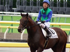 20171007 東京4R 3歳上障害未勝利 トーセンカナロア 17