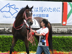 20170625 東京8R 3歳上(500) ピッツバーグ 06