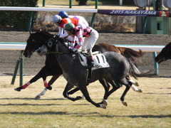 20150117 中山5R 3歳未勝利 グローリアスレイ 16