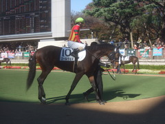 20111126