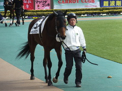 20150221 東京5R 3歳未勝利 トーセンカナロア 03