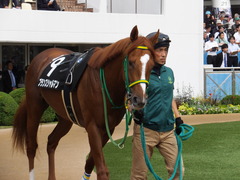20150927 中山9R 芙蓉ステークス プランスシャルマン 10