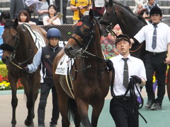 20170507 東京8R 4歳上(1000) オウケンブラック 07