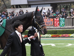 20151123 東京11R 東スポ杯2歳S(G2) プロディガルサン 02