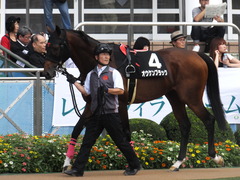 20170930 中山10R 習志野特別(1000) オウケンブラック 03