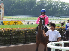20160515 東京9R テレ玉杯(1000) ツクバアスナロ 21