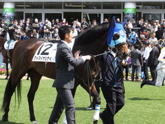 20170402 中山6R 3歳500万下 アドマイヤシナイ 15