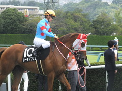 20170923 阪神10R 夕月特別(牝1000) レーヌドブリエ 20