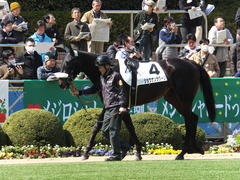 20140316 中山6R ショウナンラグーン 03