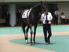 20150523 東京3R 3歳未勝利 コスモポッポ 08