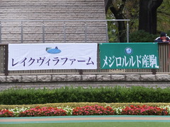 201301109 東京 ライアンセンス 00