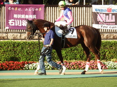 東京12R (1000) メイショウノボサン 14