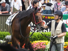 20160612 東京8R 3歳上500万下 トーセンカナロア 10