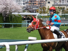20150404 阪神4R 3歳未勝利 レーヌドブリエ 17