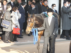 20150104 中山11R 中山金杯(G3)ラブイズブーシェ 02