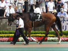 20140525 東京12R 丹沢S ユーロビート 03