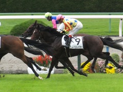 20171014 京都3R 2歳未勝利 メイショウカラタチ 13