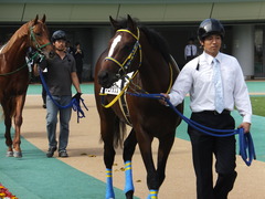 20141026 東京4R ラッシュアタック 06