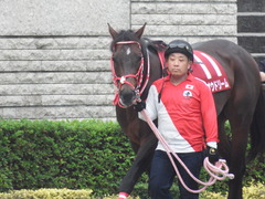 20181104 東京11R AR共和国杯(G2) ホウオウドリーム 10