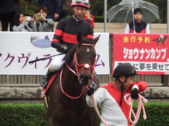 20181104 東京11R AR共和国杯(G2) ホウオウドリーム 26
