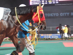 20180523 大井12R 薫風賞 B2 マイネルグルマン 16