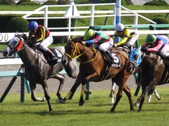 20151004 中山9R サフラン賞 2歳500万下 テイケイレーヴ 11