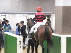 20161120 東京1R 2歳未勝利 メガポリゴン 20