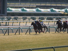 20150125 中山5R 3歳未勝利 トーセンカナロア 17