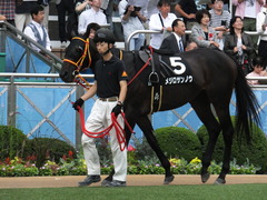 20150926 中山8R 清秋JS メジロサンノウ 04