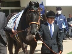 20190302 中山6R 3歳未勝利 マルニ 08
