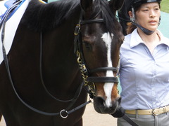 20160514 東京5R 3歳牝馬未勝利 ツボミ 09