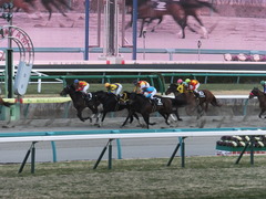 20140126 中山10R ゴールウェイ 13