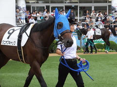 20150927 中山3R 3歳未勝利 タニオブキャップ 06
