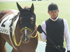 20181006 東京1R 2歳未勝利 サノノドン 05
