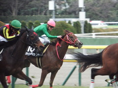 20190126 東京10R クロッカスS 3歳OP オトナノジジョウ 24