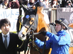 20150221 東京10R アメジストS(1600) アッシュゴールド 10