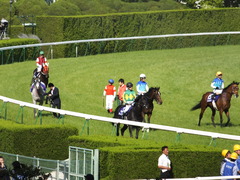 20140504 京都11R 天皇賞春 ノブレス&ゴルシ 05