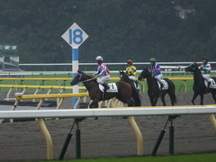 2141012 東京2R シーユーアゲン 14